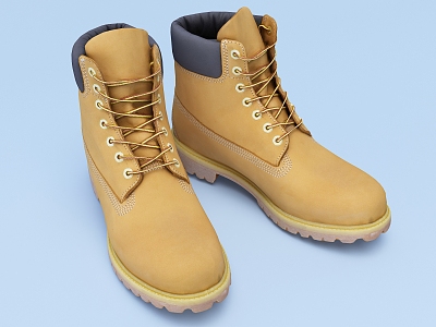 Modern Boots model