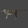 Realistic Puma 3D Model With Detailed Fur And Blue Eyes On Gray Background