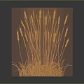 Golden Wheat Ears as Food Ingredient With Dark Background and Reflective Surface