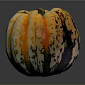 Colorful Striped Spotted Pumpkin With Yellow Orange Black Green Hues On Black Background With Reflection