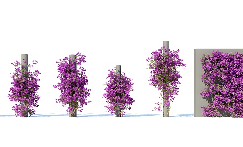 Modern Vine Climbing Vine Plant Creeper 3d model