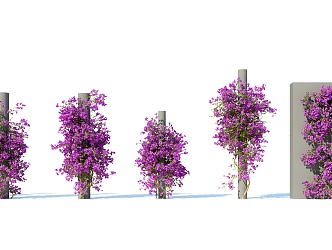 Modern Vine Climbing Vine Plant Creeper 3d model