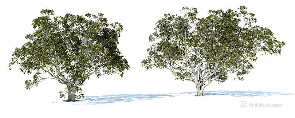 Two Green Leafy Shrubs With Natural Form And Shadow On White Background 3d model