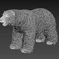 Realistic White Polar Bear Standing On Black Background With Fur Details 3d model