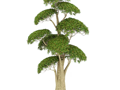 Lush Green Arbor With Tiered Canopy Structure And Sturdy Trunk Design 3d model