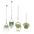 Lush Indoor Hanging Plants In Woven Hanging Baskets With Green Leaves