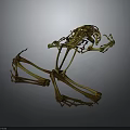 Dynamic Frog Skeleton in Leaping Pose with Detailed Structure against Dark Background