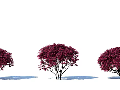 Modern shrubs 3d model Modern shrubs 3d model