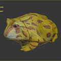 Colorful Yellow Frog Stuffed Toy With Pink And Orange Spots And Textured Surface