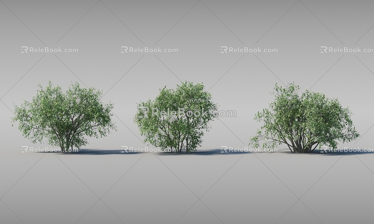 Dynamic shrubs with moving trees 3d model