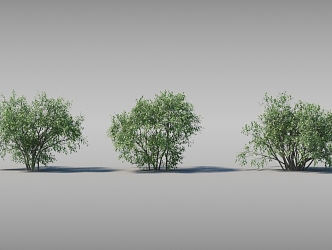 Dynamic shrubs with moving trees 3d model