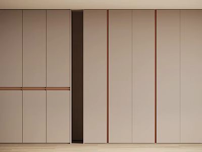Modern Minimalist Wardrobe Interior Design With Light Colored Panels And Vertical Wooden Lines 3d model