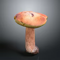 Mushroom Organ Shaped Cap With Hair Like Stem And Green Orange Color