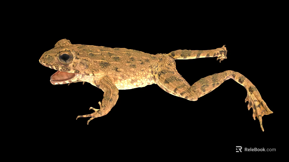 Brown Spotted Reptile With Open Mouth And Extended Limbs On Black Background 3d model 