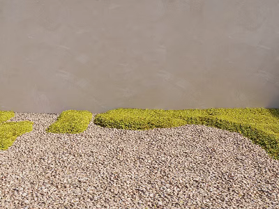 Lush Green Ground Cover Plants Against Gray Wall On Pebble Ground With Irregular Shaped Growth 3d model