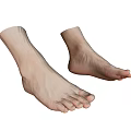 Detailed Human Foot Anatomical Model Displaying Realistic Toes Structure And Skin Texture