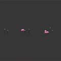 Small Green Frog Resting On Lotus Leaf With Pink Flowers Black Background