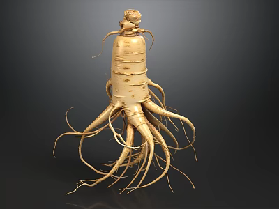 Fresh High Quality Natural Raw Ginseng Root Displayed On Smooth Dark Gradient Reflective Surface 3d model