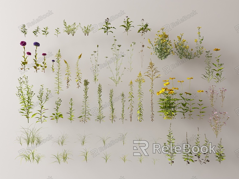 Modern flowers flowers and plants model