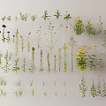 Diverse Flowers And Plants 3D Models Featuring Colorful Blooms Different Heights And Neat Arrangement