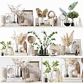 Minimalist Decorative Ornament Sets With Ceramic Vases Green Plants And Dried Flowers For Home Decor