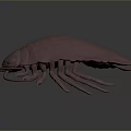 Realistic Pink Isopod 3D Model With Smooth Exoskeleton And Detailed Appendages