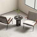 Modern Minimalist Leisure Chairs With Small Round Table And Potted Plant In Bright Room