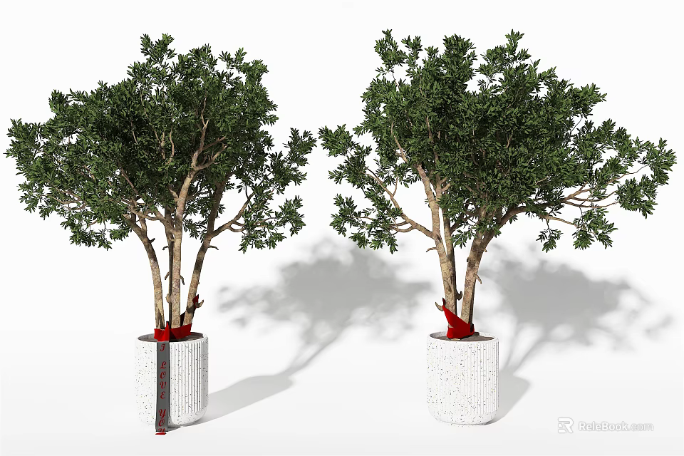 Pair of Decorative Bonsai Plants with Lush Green Leaves in White Textured Pots 3d model 