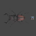 Large Brown Beetle With Antlers Next To Colorful Rubik's Cube On Gray Background