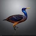 Vibrant Bird With Blue Head Yellow Beak And Brown Body Standing On Dark Background