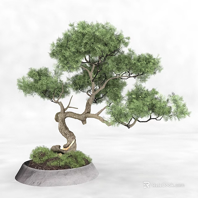 Beautiful Bonsai Arbor With Twisted Trunk And Lush Green Foliage In Pot 3d model 