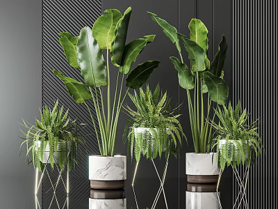 Elegant Indoor Potted Plants With Large Leaves Ferns Marble And Metal Stand Planters 3d model