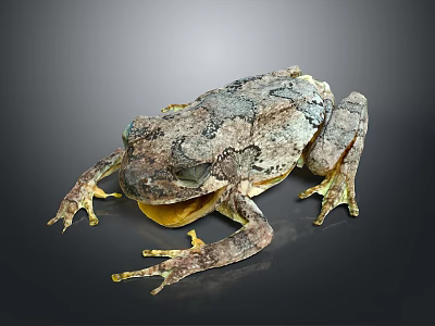 Gray Green Spotted Tree Frog With Open Mouth And Textured Limbs 3d model