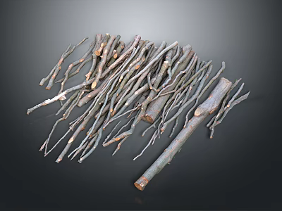 Branches, firewood, branches, withered branches, withered branches, realistic 3d model