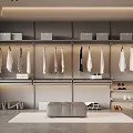 Modern Walk-in Closet Interior Design With Hanging Clothes Shoe Shelves And Storage Boxes