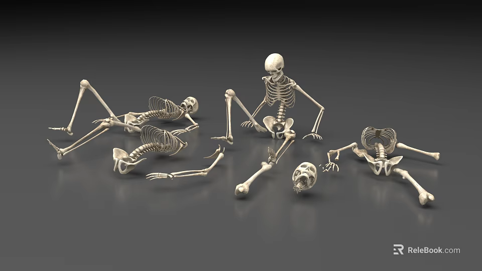Multiple Skeletons In Various Poses Lying Sitting With Scattered Bones And Skull On Gray Background 3d model 