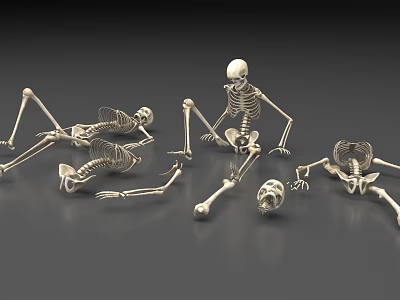 Multiple Skeletons In Various Poses Lying Sitting With Scattered Bones And Skull On Gray Background 3d model
