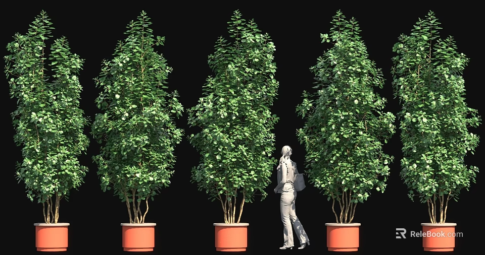 Tall Green Plants In Orange Planters With Person Standing Against Black Background 3d model 