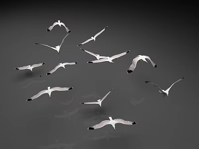 Flock of White Seagulls Flying Together in Gray Background Scene 3d model