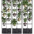 Stylish Indoor Plant Combinations With Green Foliage In Metal Planters On Grid Shelves