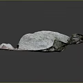 Natural Wood Stone Decorative Display With Large Rock Small Stones And Green Plants