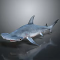 Realistic Hammerhead Shark 3D Rendering With Grey Body Open Mouth And Shiny Surface