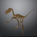 Golden Dinosaur Skeleton With Detailed Anatomical Structure Standing On Dark Background