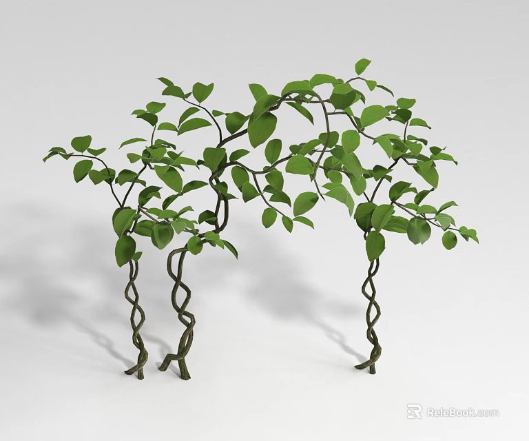 Lush Green Decorative Vines with Twisted Stems and Fresh Leaves 3d model 