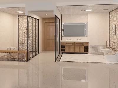 Modern Bathroom Interior With Glass Shower Enclosure Wooden Door And Vanity Mirror 3d model