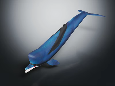 Blue Whale Model With Black Fin Red Eyes And White Teeth On Dark Background 3d model