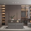 Modern Walk in Closet Interior With Glass Display Cabinets Hanging Clothes And Dressing Table