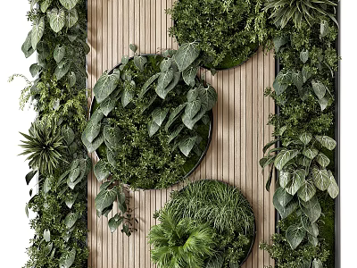 Living Plant Wall Design With Wooden Background And Circular Green Plant Decor 3d model