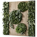 Living Plant Wall Design With Wooden Background And Circular Green Plant Decor