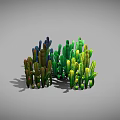 Colorful Cactus Plants Collection with Green Yellow Brown Blue Color Varieties